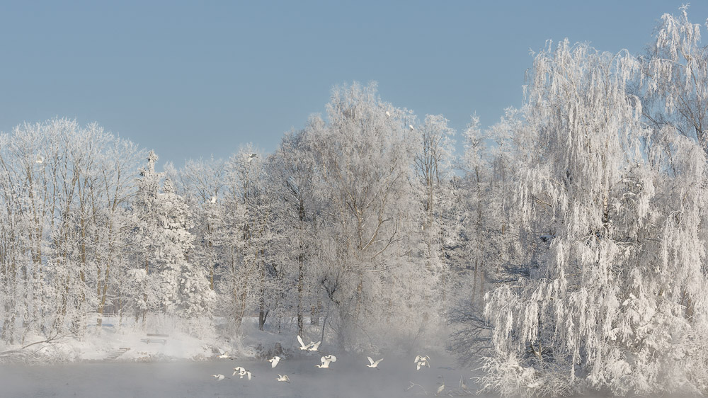 Platz 4 Anton Kienle